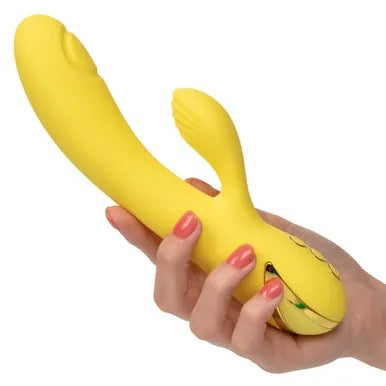 California Dreaming Vibrators