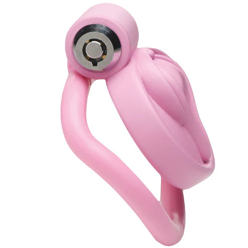 Master Series Pussification Vulva Chastity Cage - Pink