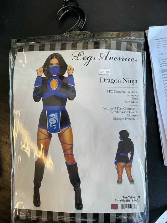 Dragon ninja costume