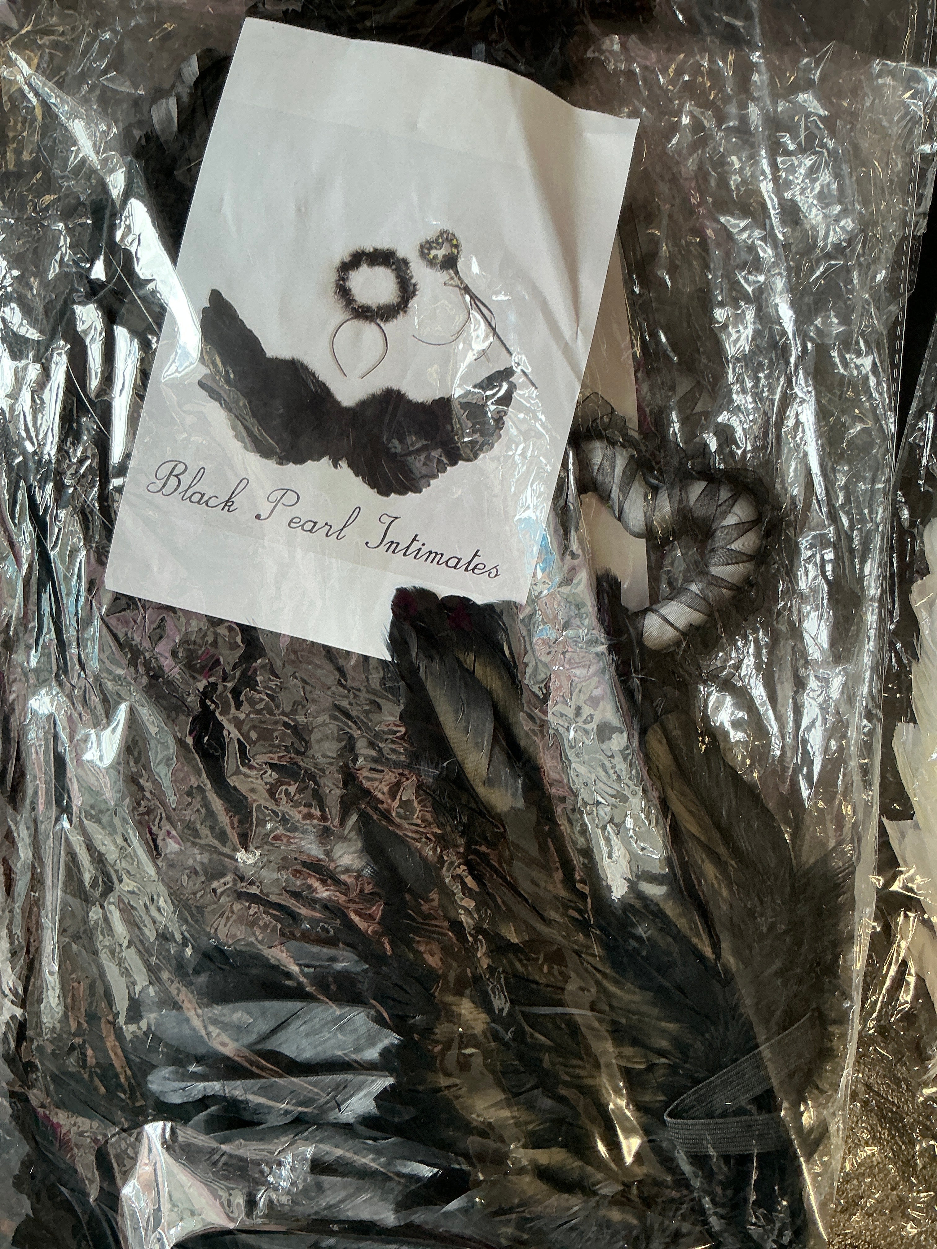 Black Angel, wings, set costume