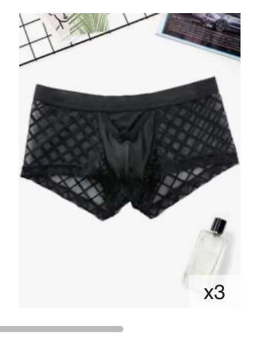 Mesh Boy Shorts