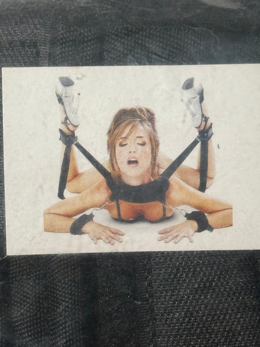 Bag Hogtie